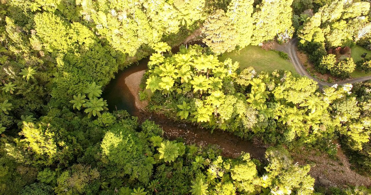 Wairua Lodge - Rainforest River Retreat 怀蒂昂格 外观 照片