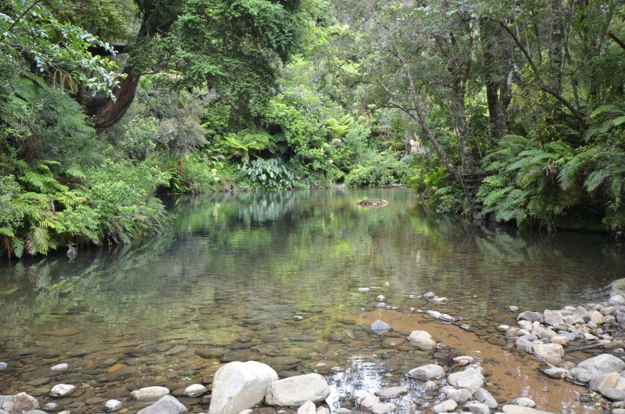 Wairua Lodge - Rainforest River Retreat 怀蒂昂格 外观 照片